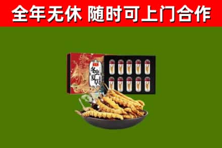 宿豫烟酒回收冬虫夏草礼盒.jpg