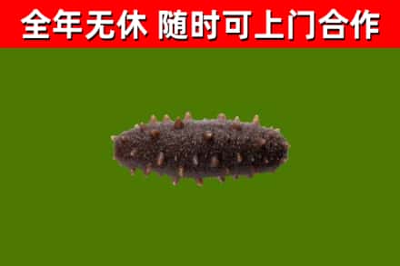 宿豫烟酒回收干海参.jpg